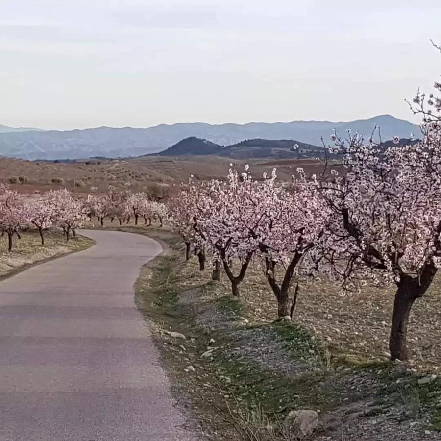 Immaculate Casa 2 Bed 2 Bath With Pool Casa Oriana Oria Almeria エクステリア 写真